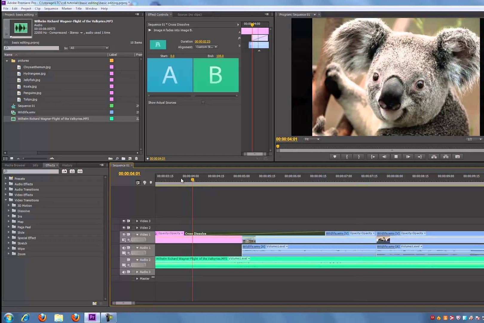 best video editing software for mac youtube bloggers